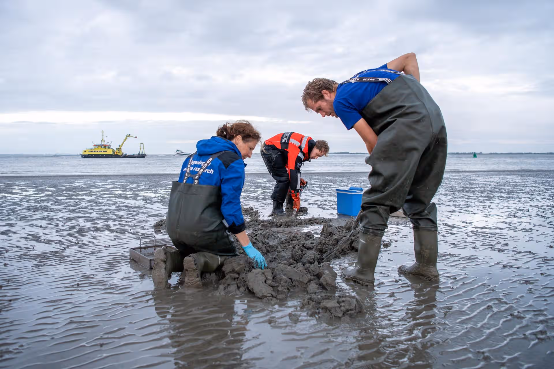Onderzoekers PFAS in Oosterschelde