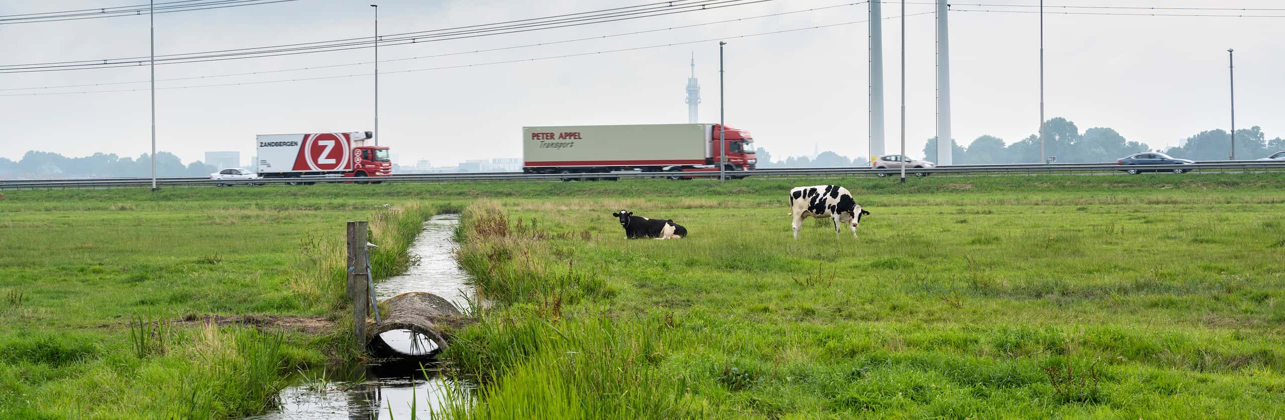 Hoogspanningsmasten langs de A9