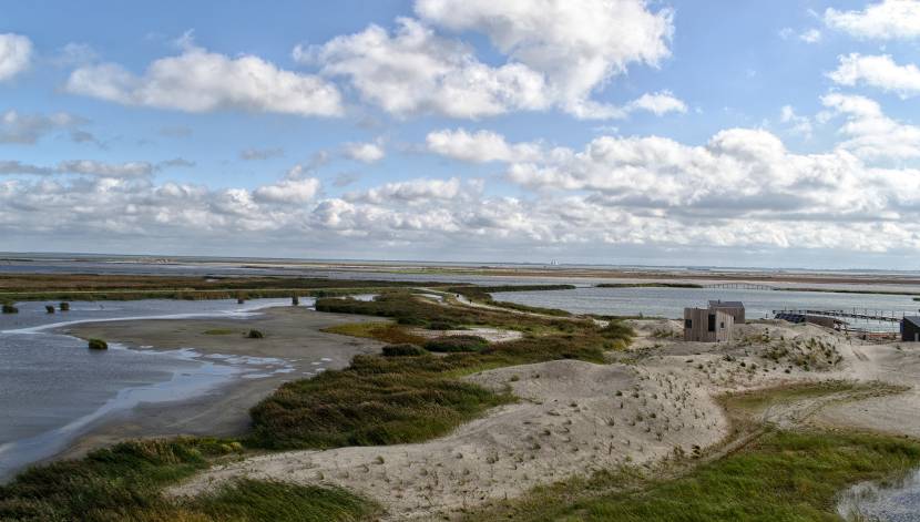 Marker Wadden